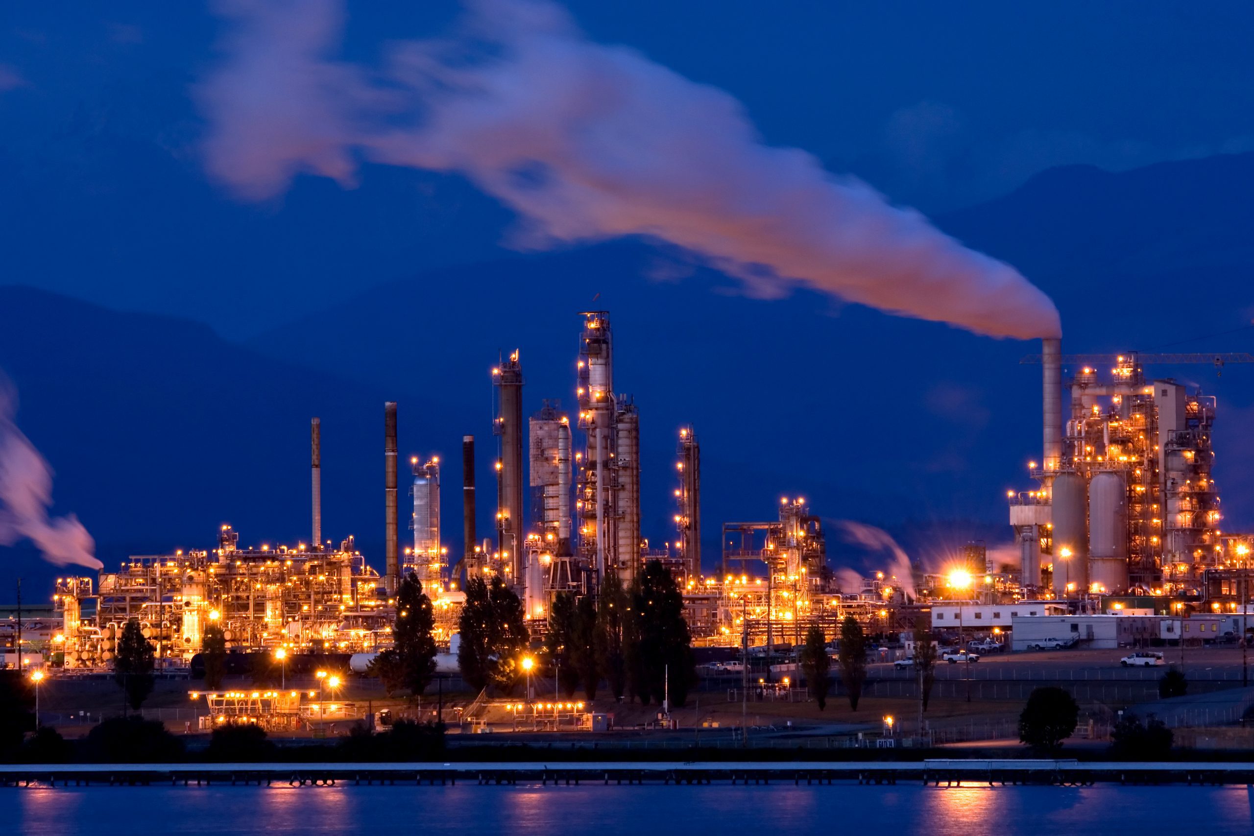 Natural Gas Distributor Case Study